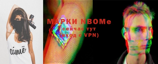 стаф Аркадак