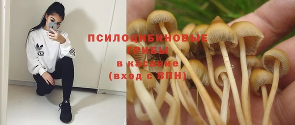 не бодяженный Алзамай