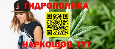 гашиш Можга